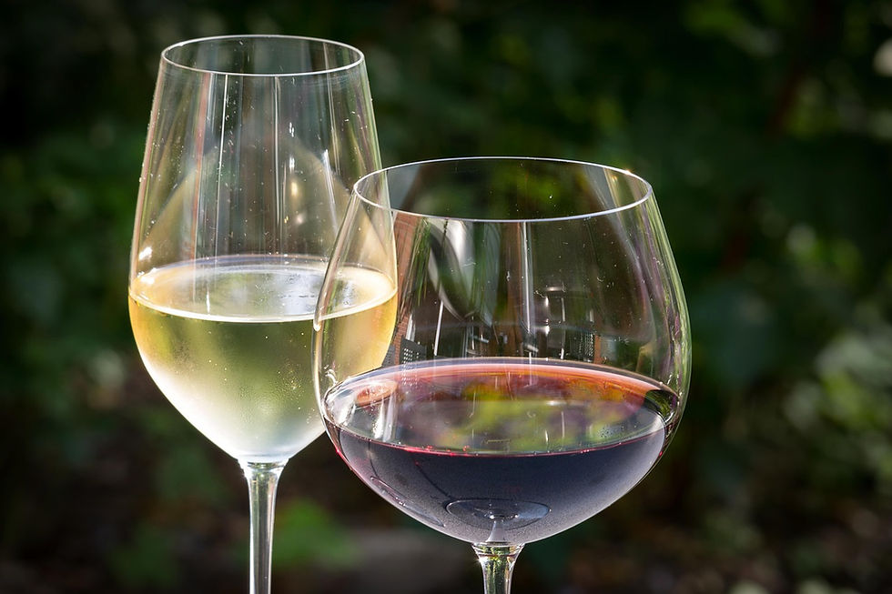 Two wine glasses, one with white wine and the other with red, against a blurred green background. Sunlight creates a warm ambiance.