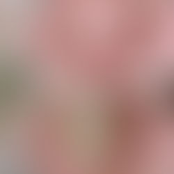 Look Your Best on Easter With Springtime Pawn Shop Jewelry