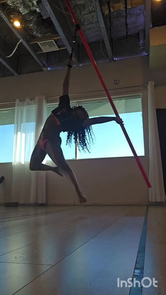 Aerial Pole Lab w/ Bama 🪽