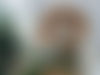 РОЖДЕСТВЕНСКИЕ БОГОСЛУЖЕНИЯ В АСТАНЕ