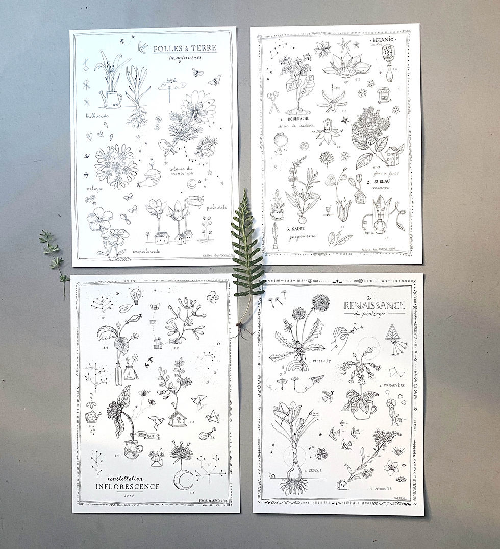 Miniature : INFLORESCENCE
