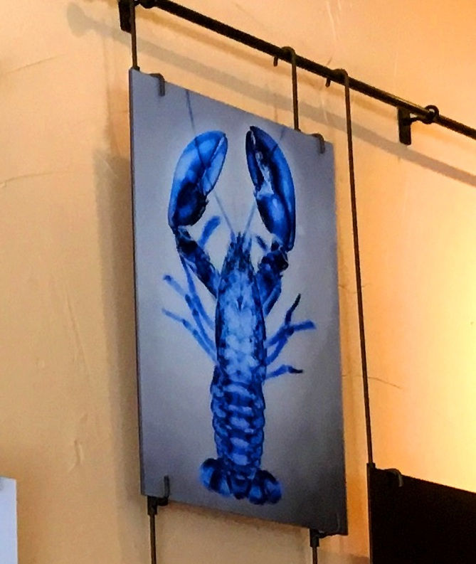 Thumbnail: XRay Pictographs of Marine Life