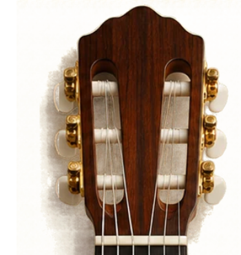 Klasik gitar burguluk ve üst eşik