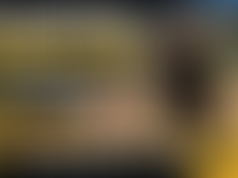 Yellowstone Bison Attack 2026: What Really Happened, Why It Happened, and What Every Texas Traveler Should Know Before Visiting America's National Parks