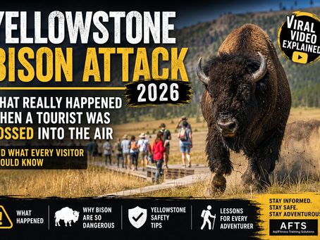 Yellowstone Bison Attack 2026: What Really Happened, Why It Happened, and What Every Texas Traveler Should Know Before Visiting America's National Parks