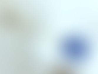 帽子＋ピンブローチ