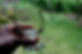 ED28966B-D6D7-44C4-A817-249D619B1295-89872-0000654B37FFBE77.jpg