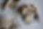 AFDF9037-1A3C-4759-A0F1-C103CDFC29B5.png