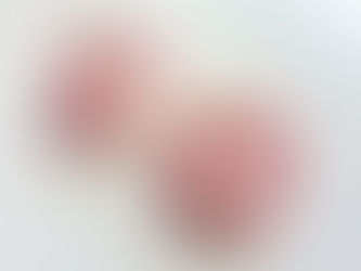 桃の節句向け　おはしおき