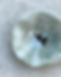 image0 (2).jpeg