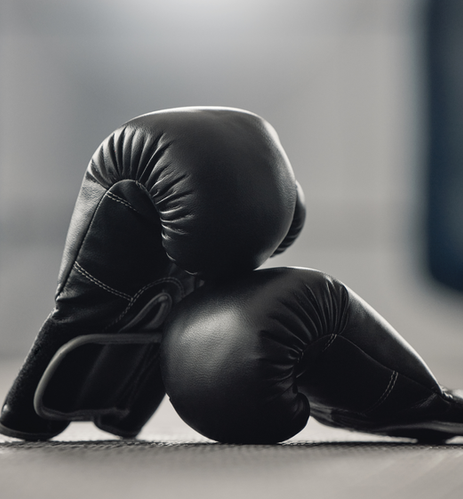 Fitness 4 All Boxercise Gloves