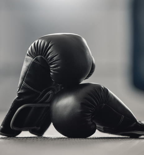 Fitness 4 All Boxercise Gloves