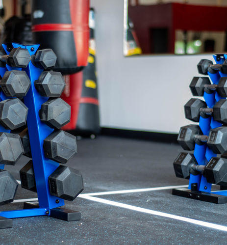 Fitness 4 All Boxercise Dumbbell Equipment