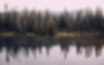 An idyllic landscape of pine trees reflected in a beautiful lake_edited.jpg