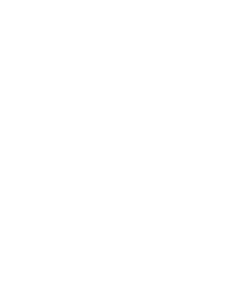 NZ white.png