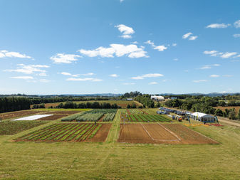 Seed & Field Cropstock 2026