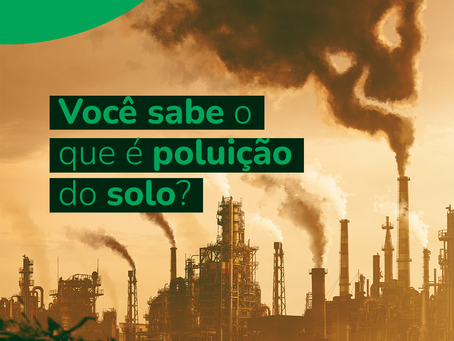 Poluição do Solo: O que é, Causas e Como Combatê-la