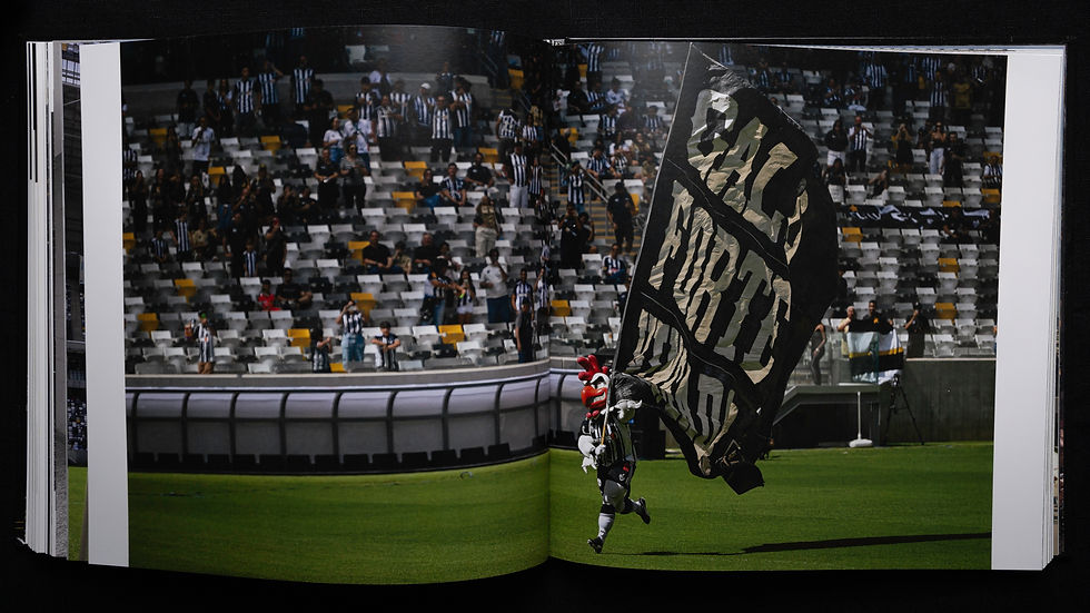 Miniatura: Arena MRV
