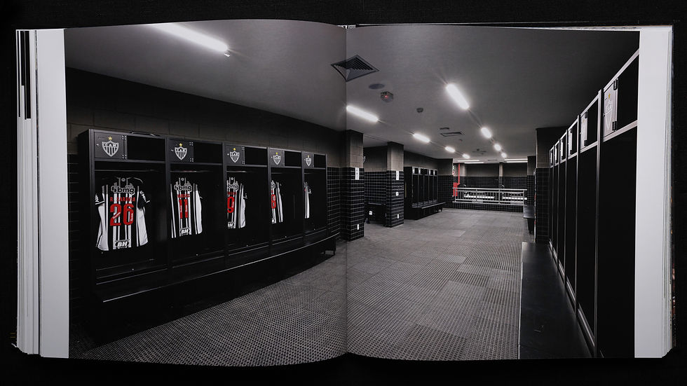 Miniatura: Arena MRV
