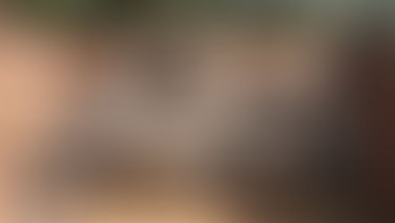 The Pushpagiri Question: Identifying, Naming, and Claiming a Lost Buddhist University