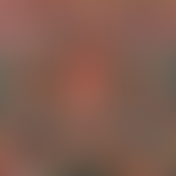 Vajrayana on the Eastern Coast: Why the Diamond Triangle Flourished Late