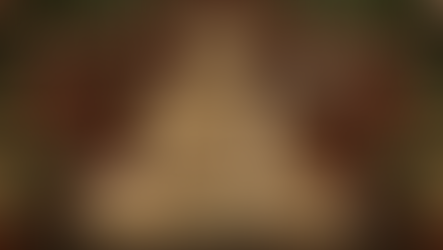 How Bhakti Literature Stabilised Odia Identity During an Age of Invasions?