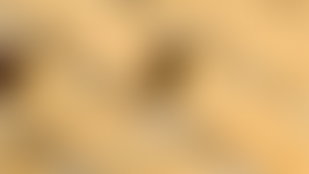 Has Heritage Become Redundant?