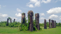 The Archaeology of Forgotten Urbanism: Understanding the Iron Age City Beneath Bhubaneswar