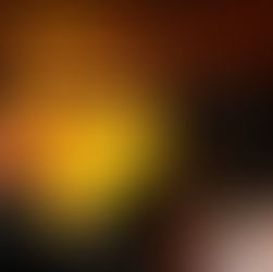 Understanding Literature as the First Step of Democracy