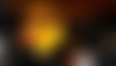 Understanding Literature as the First Step of Democracy