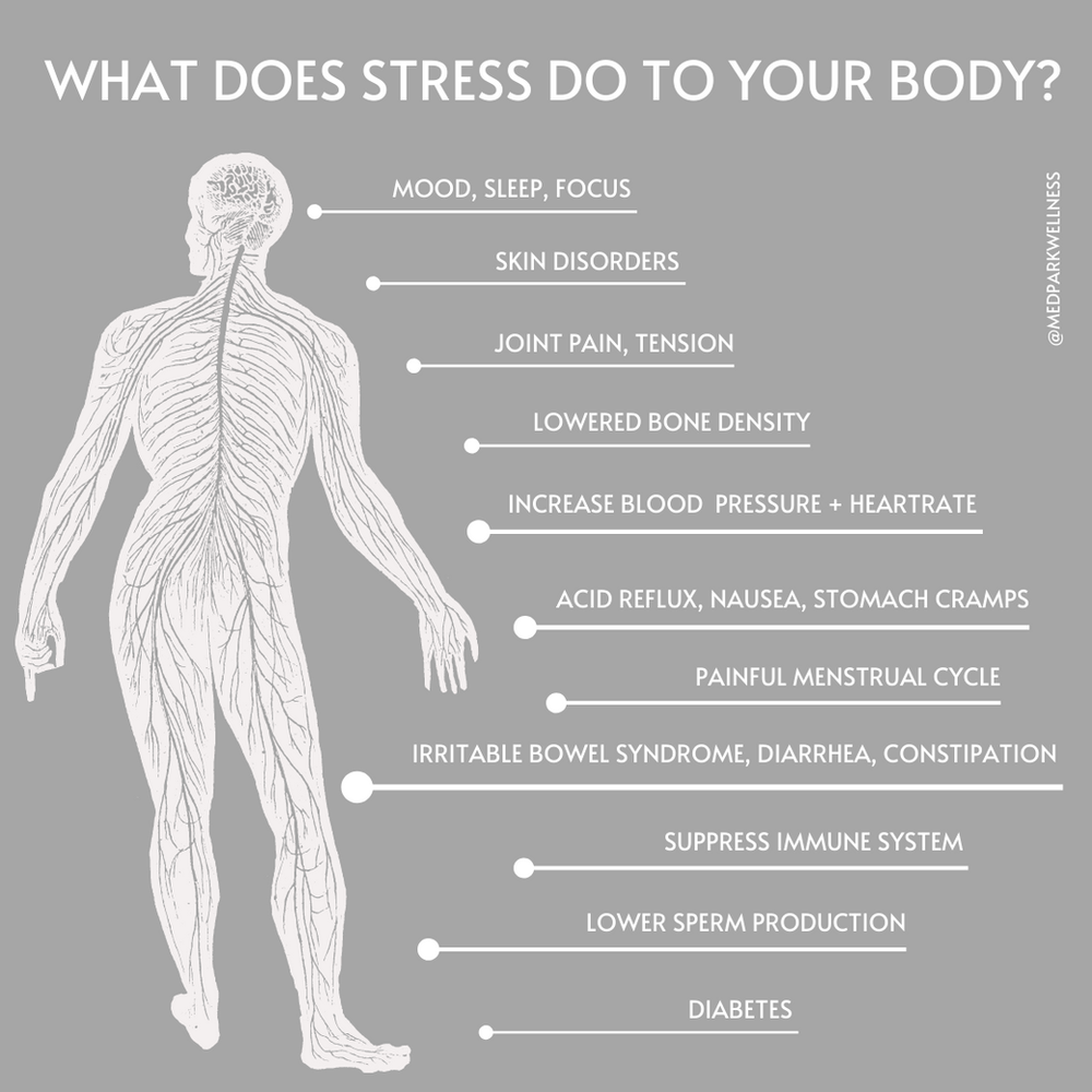 What Does Stress Do To Your Body what-does-stress-do-to-your-body