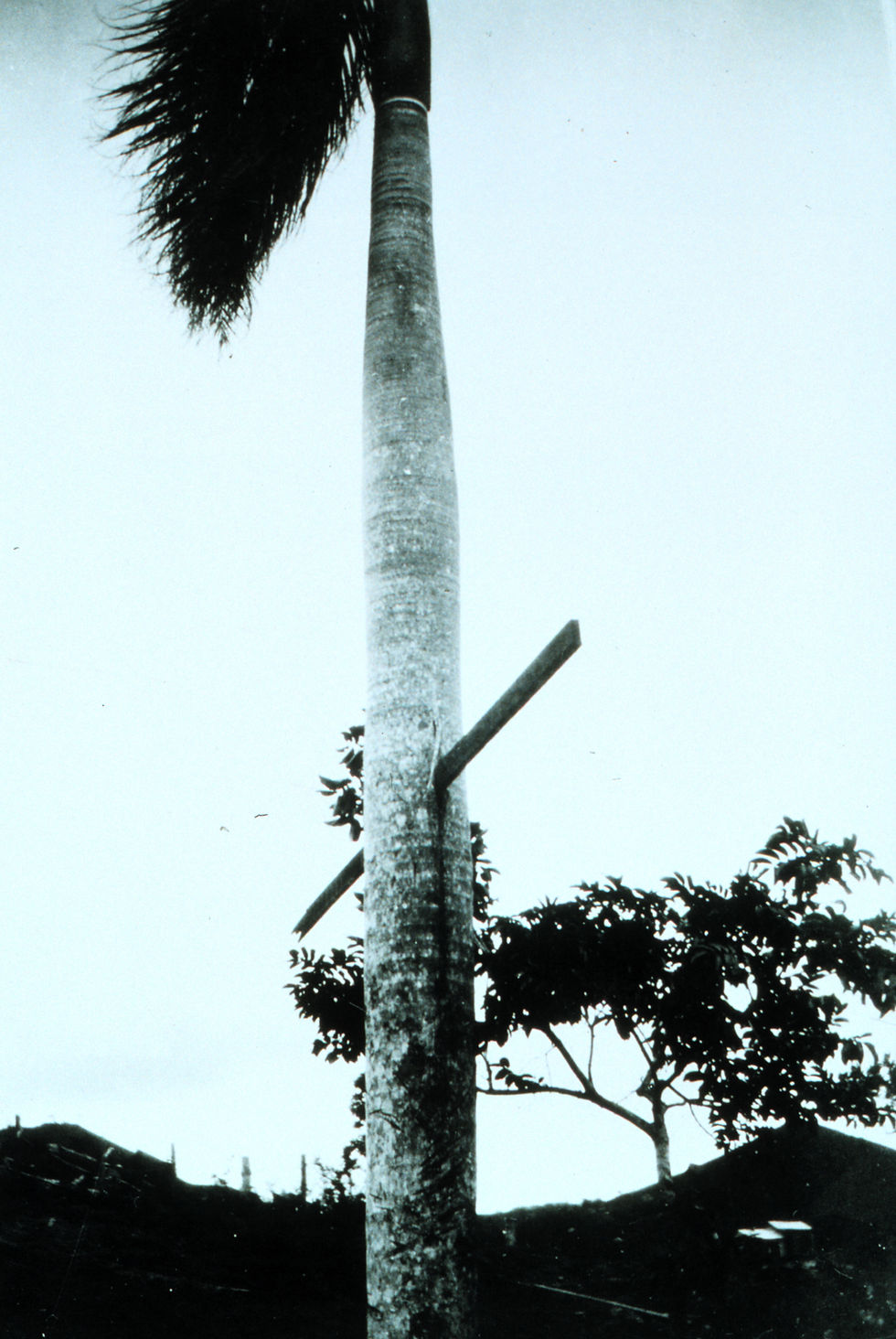 Puerto Rico last time a category 5 struck.