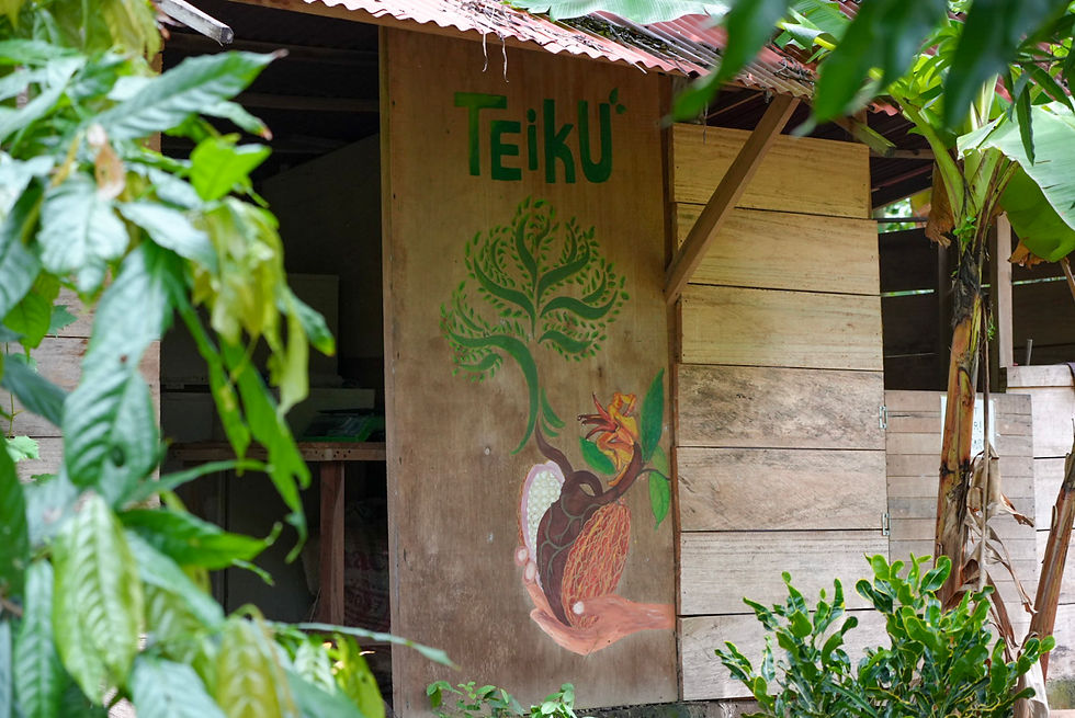 Living with the Teiku community, on the land of local tribes of the Sierra Nevada, Colombia - Kogui, Arhuacos, and Wiwa