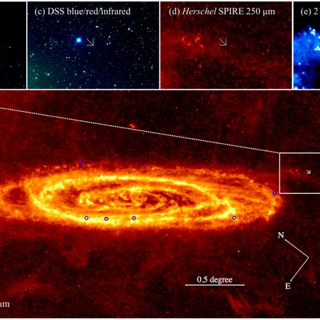 Discovery of a new Luminous Blue Variable in the outskirt of the Andromeda Galaxy