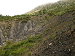 Roubines, Chiran
