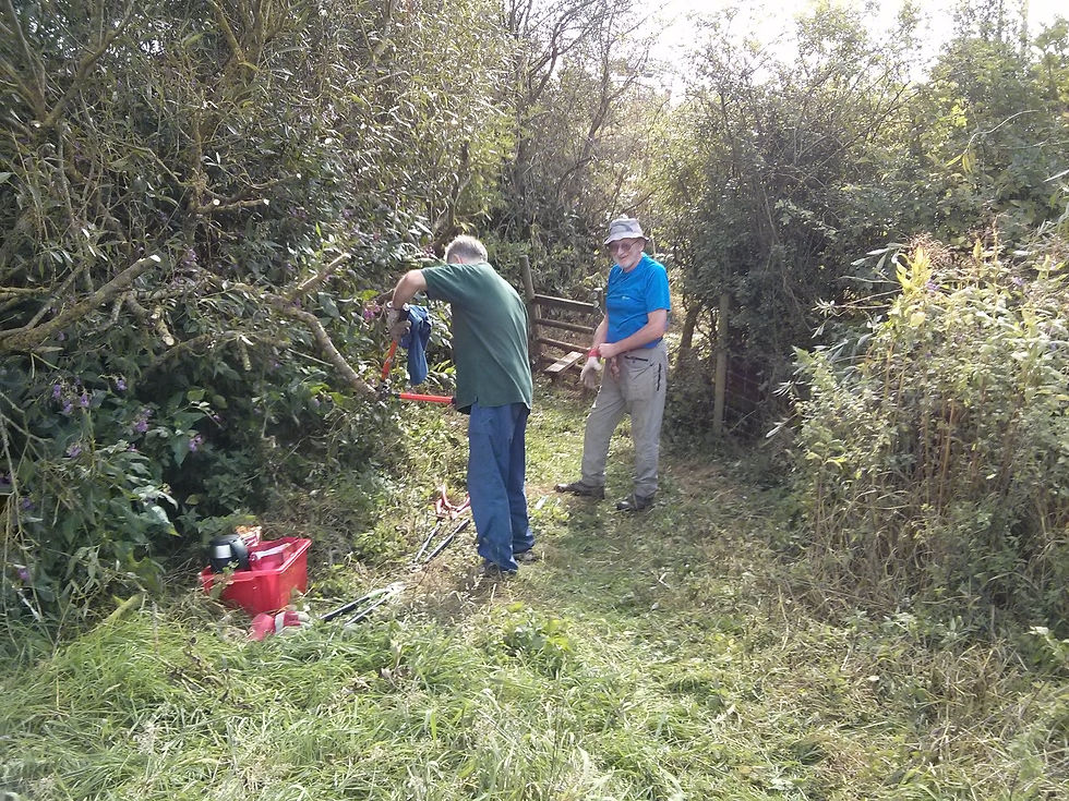 Footpath at Lea End Lane.jpg