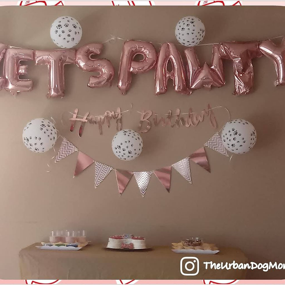 Let's Pawty!!!!
