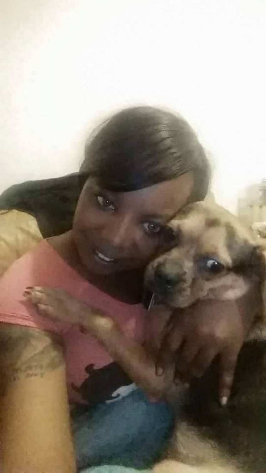 Writer: The Urban Dog Mom
