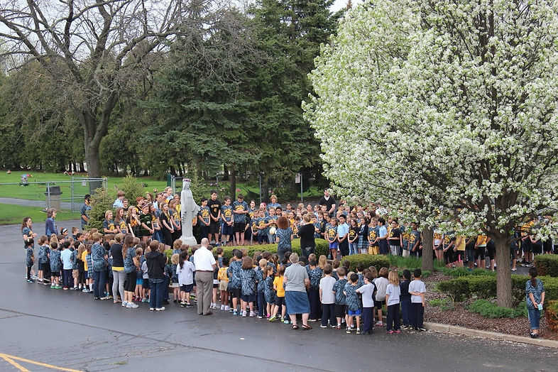 IMG_3547x Large.jpeg