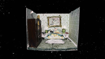 sloth (0-00-00-00).jpg