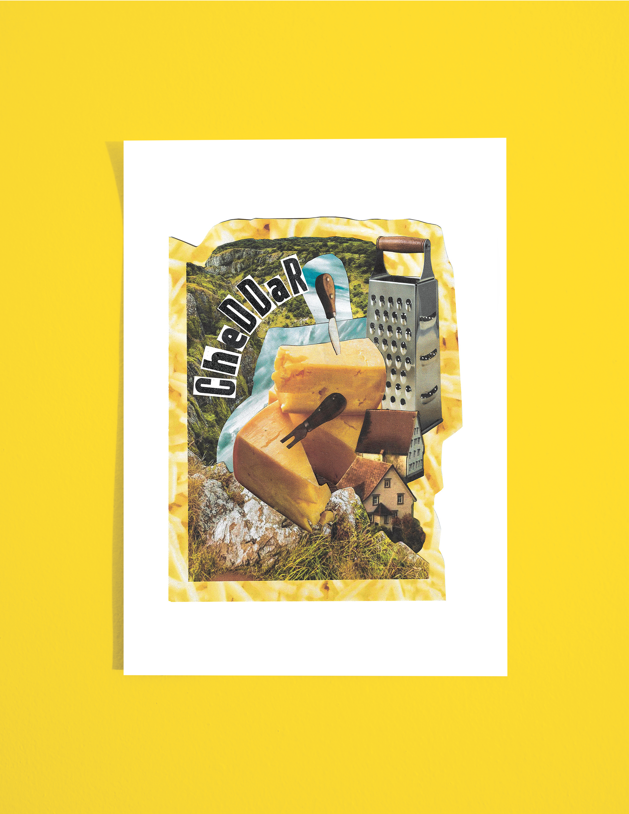 Cheddar Print
