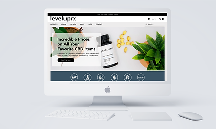 Leveluprx Mockup.png