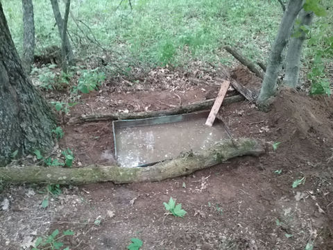 Day one creating a water hole
