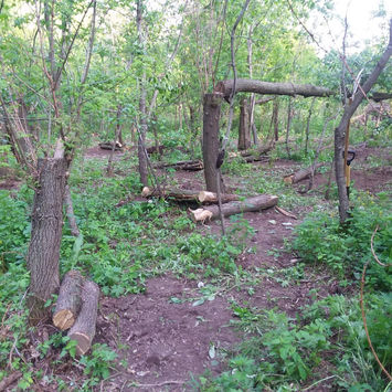 Bedding area two years after improvement
