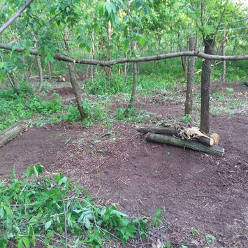 Bedding area two years after improvement
