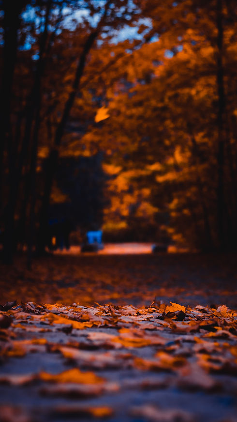 jean-karim-dangou-wZaMZIjEbLc-unsplash.j