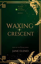 The Wolf and theDreamcatcher by Jane Elend