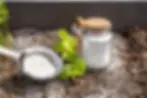 diatomaceous earth being applied to garden soil