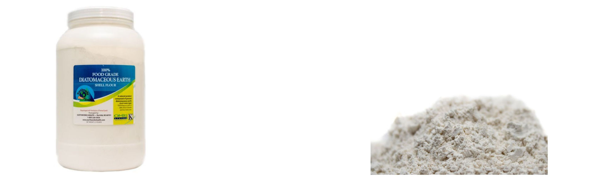Home Page Top Graphic.jpeg