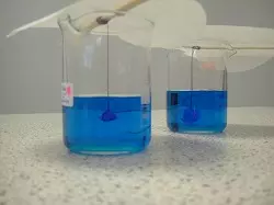 growing copper sulfate crystals.webp